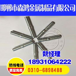 熱鍍鋅螺栓,內蒙熱鍍鋅螺栓,森鴻金屬制品美觀防銹