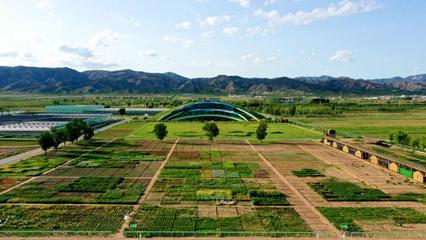 內(nèi)蒙古草種業(yè)技術創(chuàng)新中心獲批!加快向&ldquo;國家級&rdquo;目標邁進