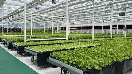 文山州這里現(xiàn)代農(nóng)業(yè)種業(yè)產(chǎn)業(yè)園建設項目