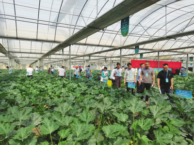 種業(yè)攻關 促進發(fā)展