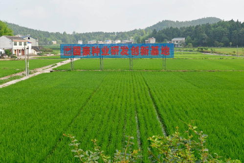 農(nóng)業(yè)農(nóng)村部公布金融支農(nóng)十大創(chuàng)新模式 農(nóng)行這一模式入選