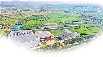 平羅 開創種業“芯”未來 跑出振興加速度