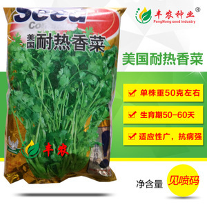 蔬菜香菜種子市場洞察 價格、供應商與種植前景