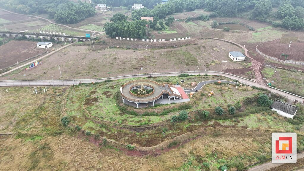 永安鎮大豆種業基地豐收喜人，2000畝油菜輪種續寫豐收篇章