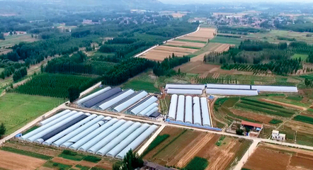 山東宇泰生物種業 聚焦種業創新，助力農業強國建設