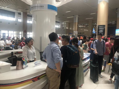 舟山市旅游咨詢服務之星評選揭曉，十位杰出代表風采盡顯